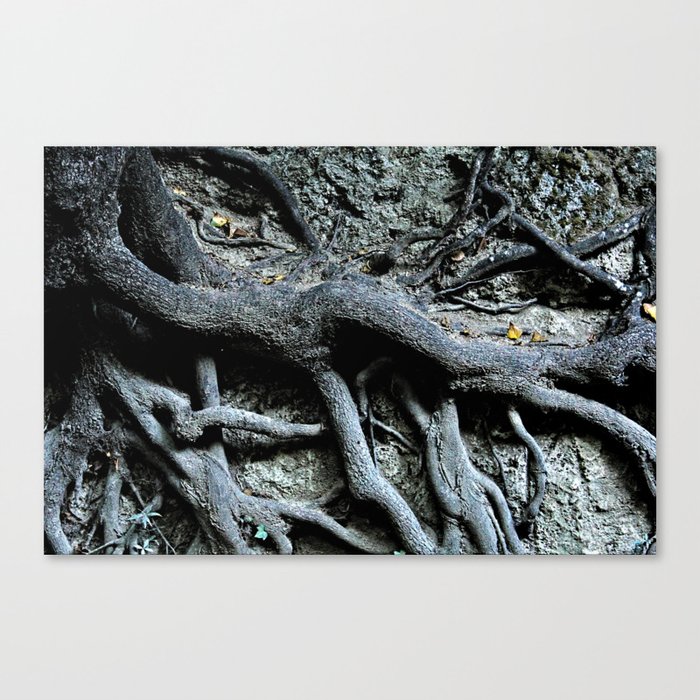 Tree Roots Texture Natural Abstract Canvas Print