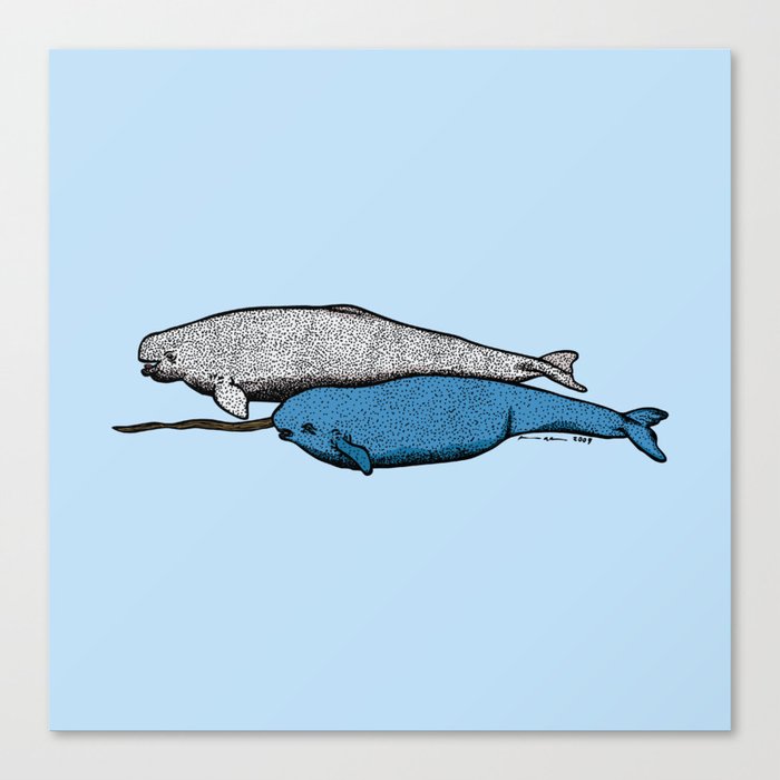 Narwhal And Beluga Whales Canvas Print