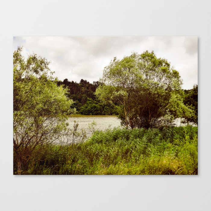 Vintage summer river landscape Canvas Print