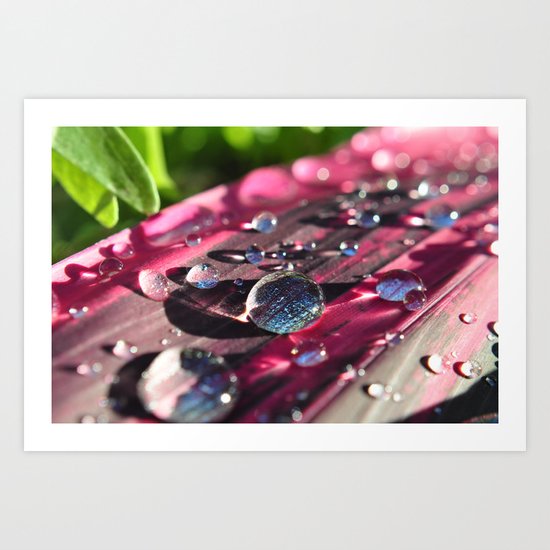 look a little closer Art Print