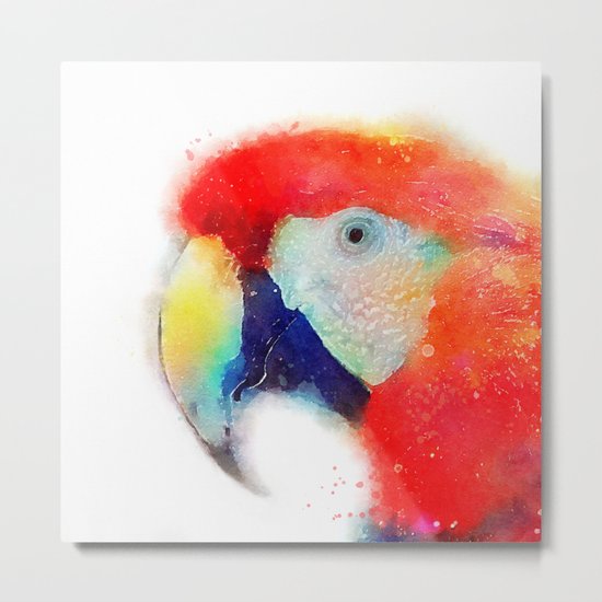 The Articulate - Parrot Metal Print