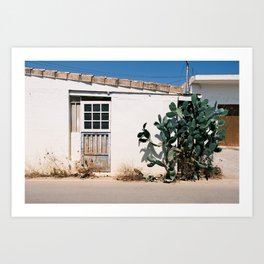White bohemian house with blue door and cactus // Ibiza Travel Photography Art Print