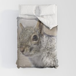 Wet paw Squirrel Comforter