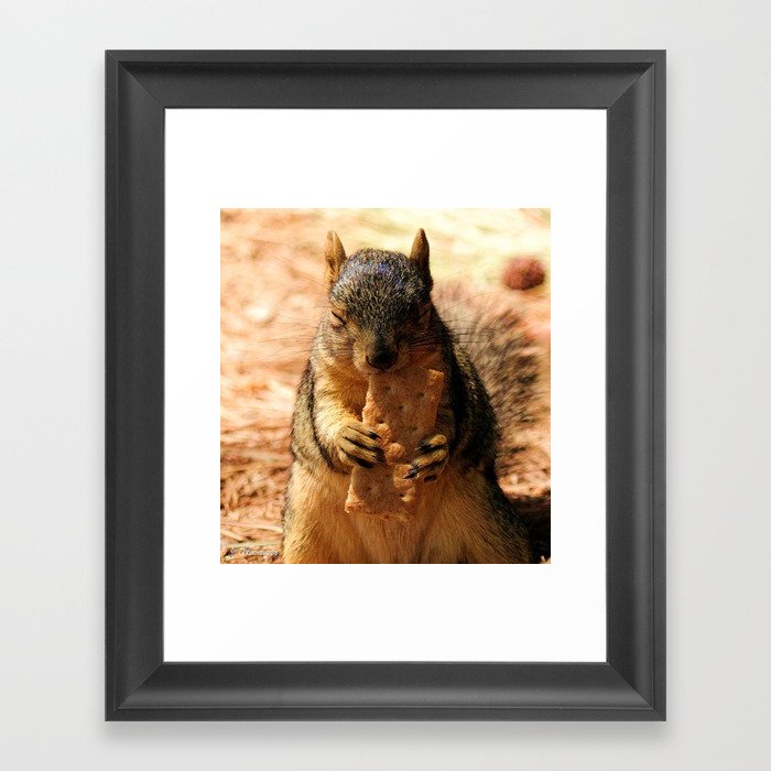 Contented Squirrel. © J. Montague. Framed Art Print