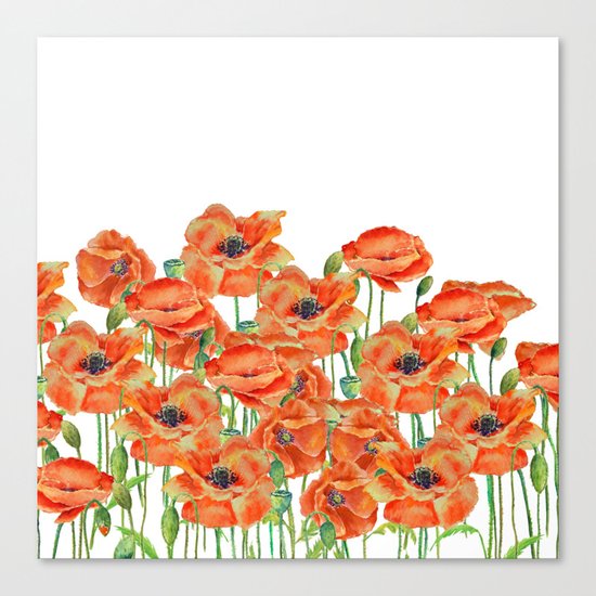 Watercolor poppy field illustration Canvas Print