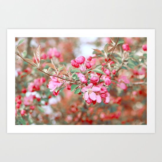 Cherry Blossom Art Print
