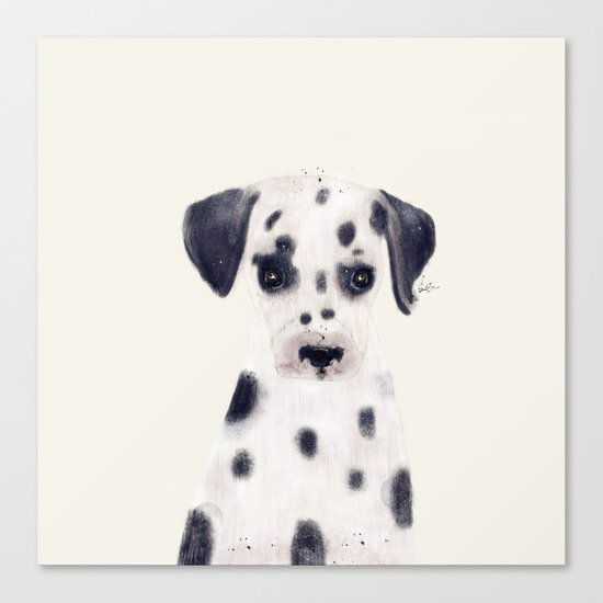 little dalmatian Canvas Print