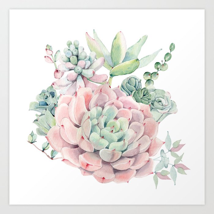 Pink Succulents by Nature Magick Art Print