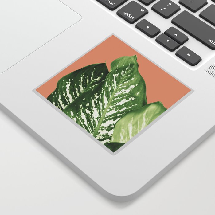 Dieffenbachia - Exotic Leaves #1 #tropical #wall #art #society6 Sticker