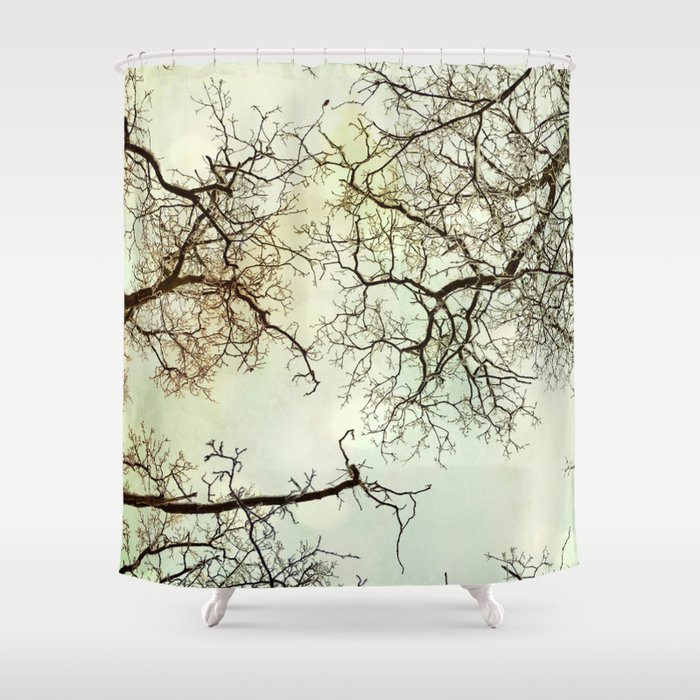Winter Tree Branches In The Sky Shower Curtain By Zenz Society6