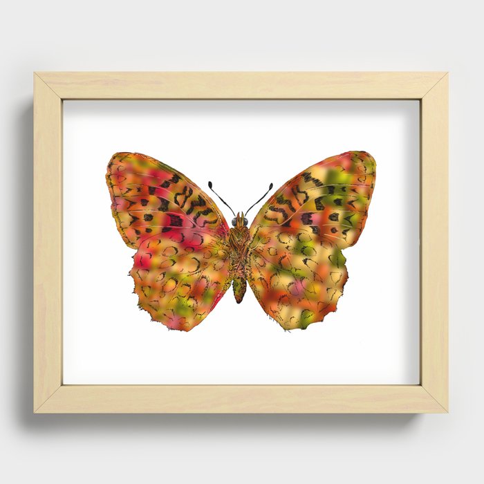 Strawberry Moth Recessed Framed Print