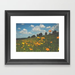 Dreaming in a Summer Field - boho nature wildflower photograph Framed Art Print