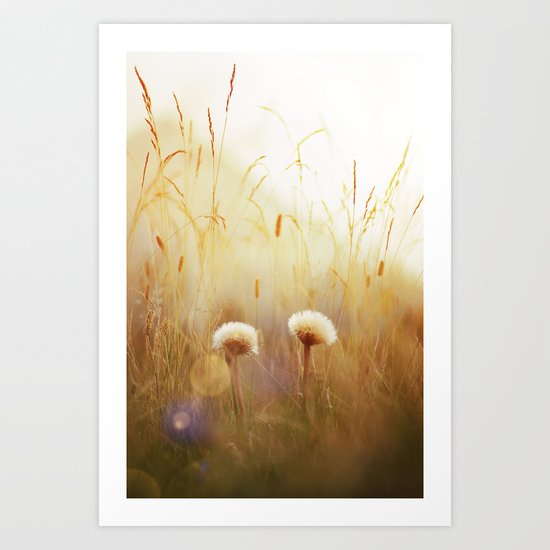 Dandelions Art Print