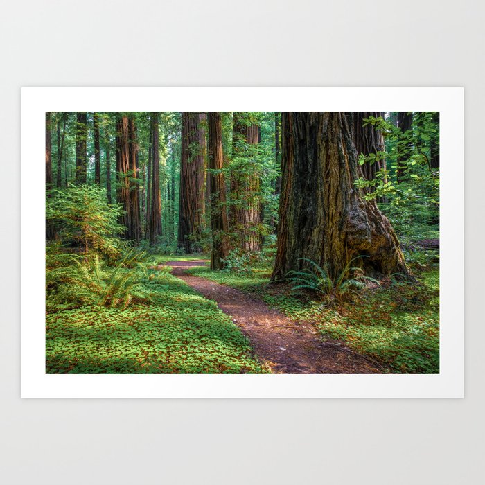 Art Print