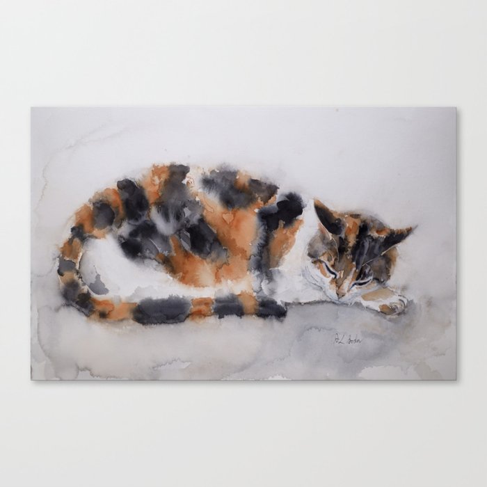 Calico cat Canvas Print
