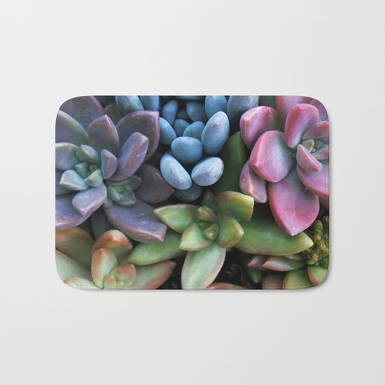 Colorful Succulents Bath Mat