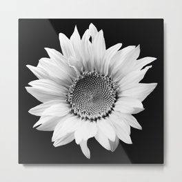 Sunflower In Black And White #decor #society6 #buyart Metal Print | Flower, Spring, Digital, Plant, Beauty, Black, Homedecor, Botanical, Natural, Retro 