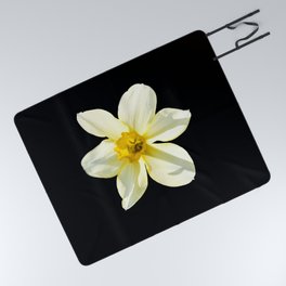 Narcissus December Flower Picnic Blanket