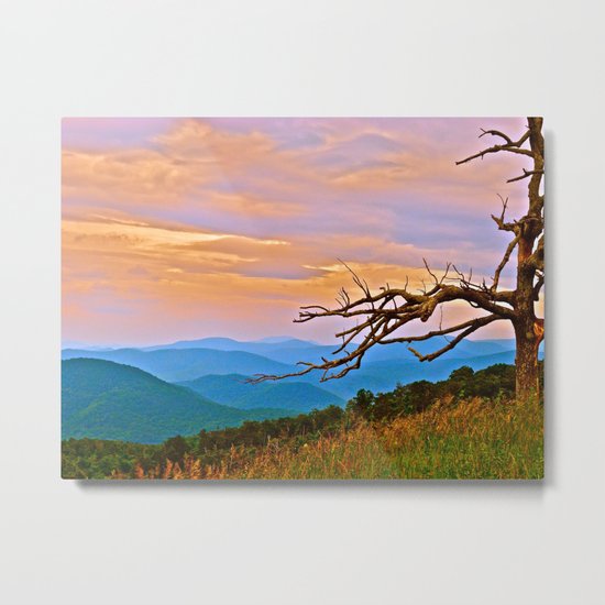 Along Skyline Drive Metal Print
