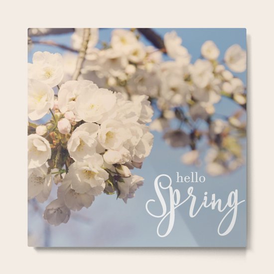 Hello Spring Metal Print