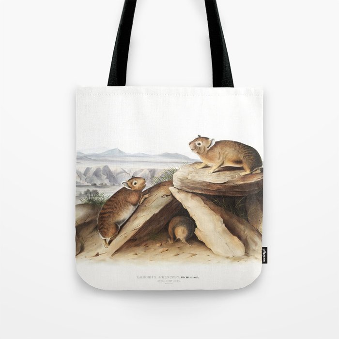 Little Chief Hare  from the viviparous quadrupeds of North America  illustrated by John Woodhouse Audubon Tote Bag