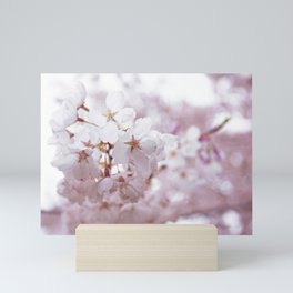 High Park Cherry Blossoms on May 11th, 2018. V Mini Art Print