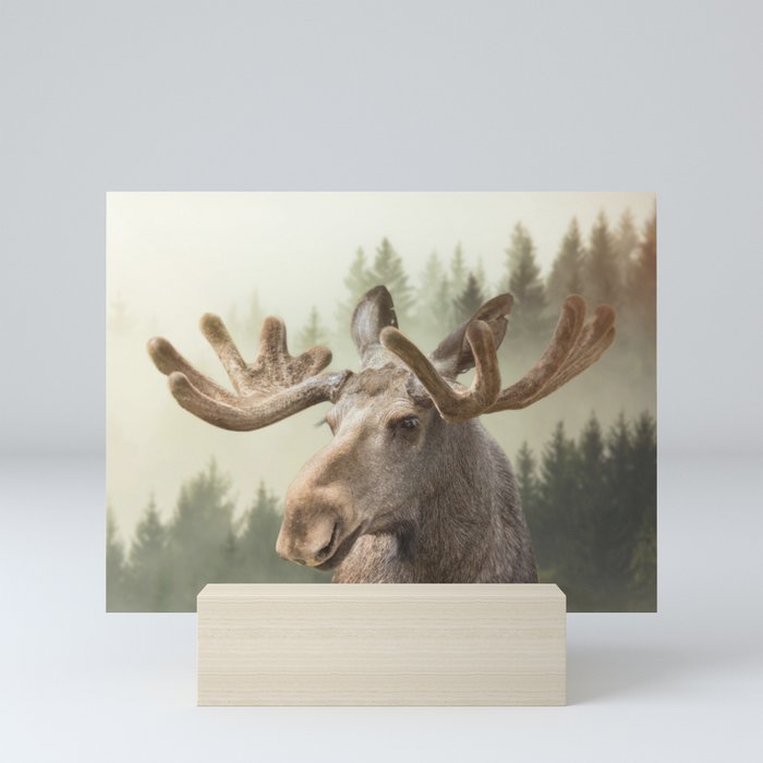 Moose Mini Art Print