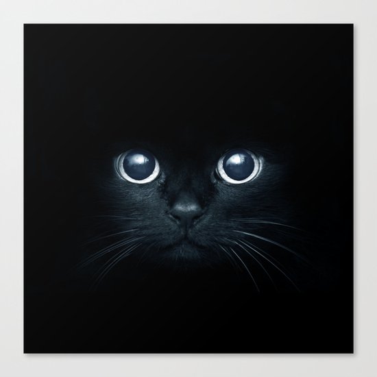 Black Cat in The Dark Canvas Print