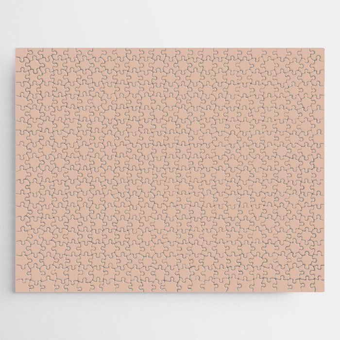 Pastel Peachy Pink-Orange Solid Color Pairs PPG Cinnamon Ice PPG1071-4 - All One Single Shade Colour Jigsaw Puzzle
