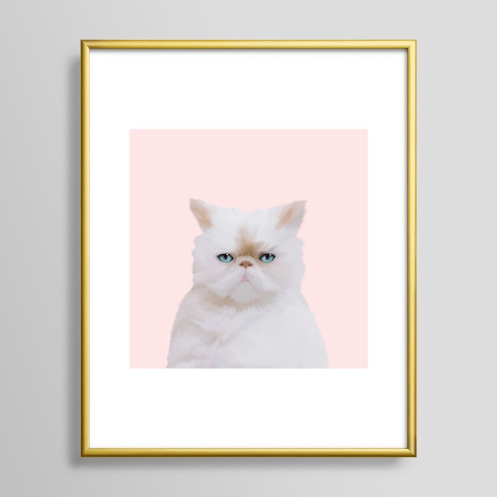 Angry cat aluminium wall art print