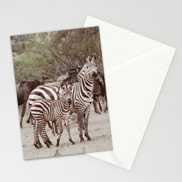 baby and mama zebra in Serengeti desert Stationery Card