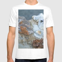 Stones together T-shirt