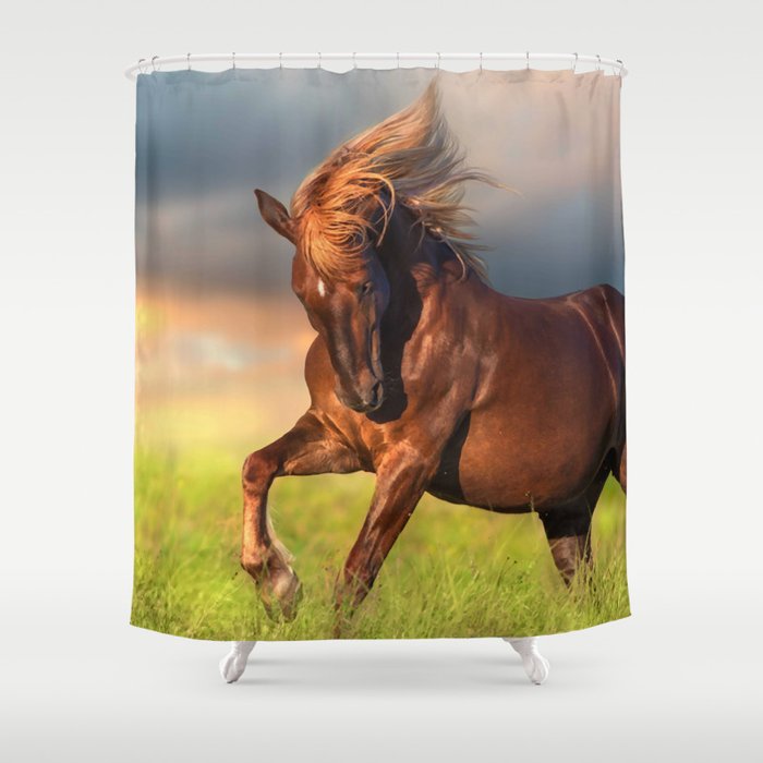 Horse Photography 61 Shower Curtain