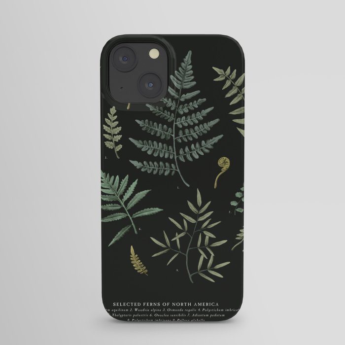 Ferns of North America iPhone Case