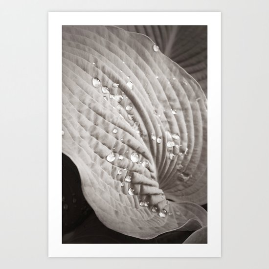 Secret Garden ~ No.9 Art Print