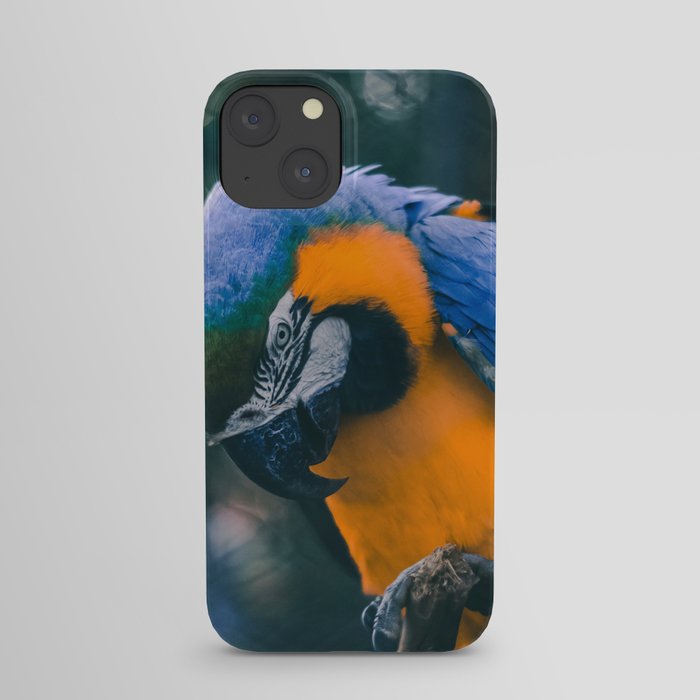 Brazil Photography - Blue And Yellow Macaw Parrot iPhone Case
