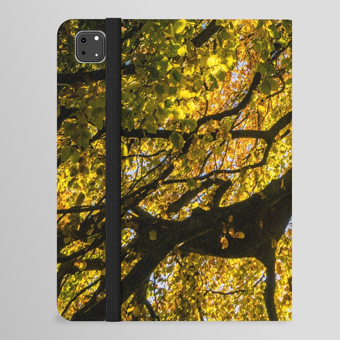 Yellow Autumn Tree I iPad Folio Case