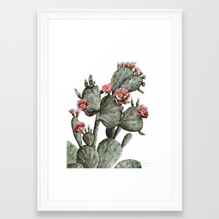 Prickly Pear Cactus Painting Framed Art Print By Shealeenlouise