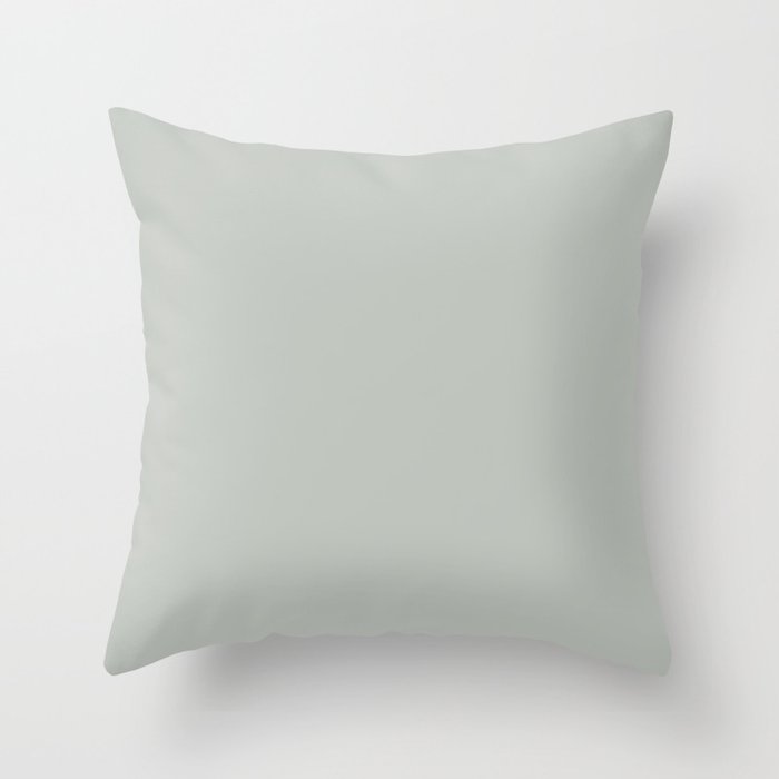 Soothing Light Pastel Green Grey Solid Color Coordinates w/ Sherwin  Williams Comfort Gray SW 6205 Throw Pillow by Simply_Solid_Colors_  Now_Over_4000_Essen