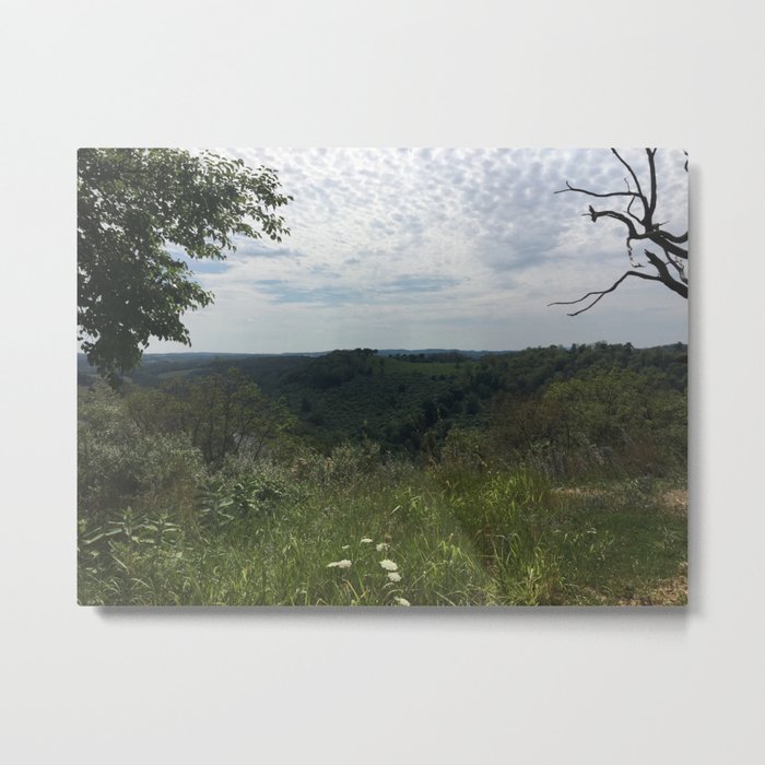 The Valley Metal Print
