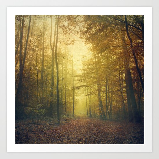 fall morning forest Art Print