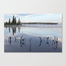 trees and weeds reflected Canvas Print