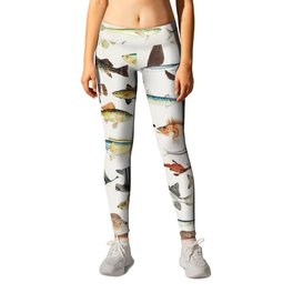 Illustrated Colorful Southern Pacific Exotic Game Fish Identification Chart Leggings