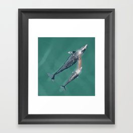 Rainbow Grey Whales Framed Art Print