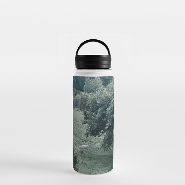Forest landscape with goat Water Bottle
