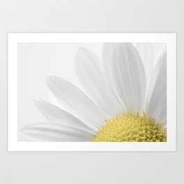 White Floral Daisy Flower Art Print