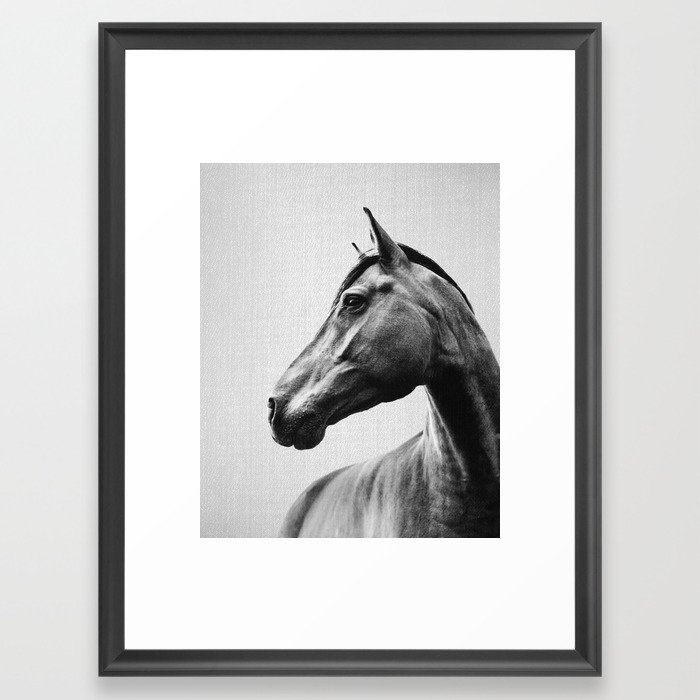 Horses - Black & White 2 Framed Art Print