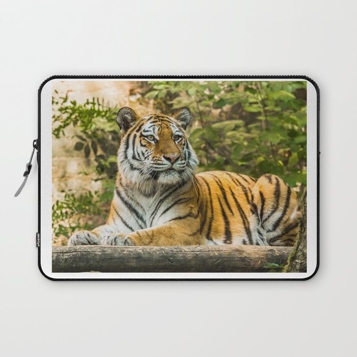 Tiger in the nature Laptop Sleeve
