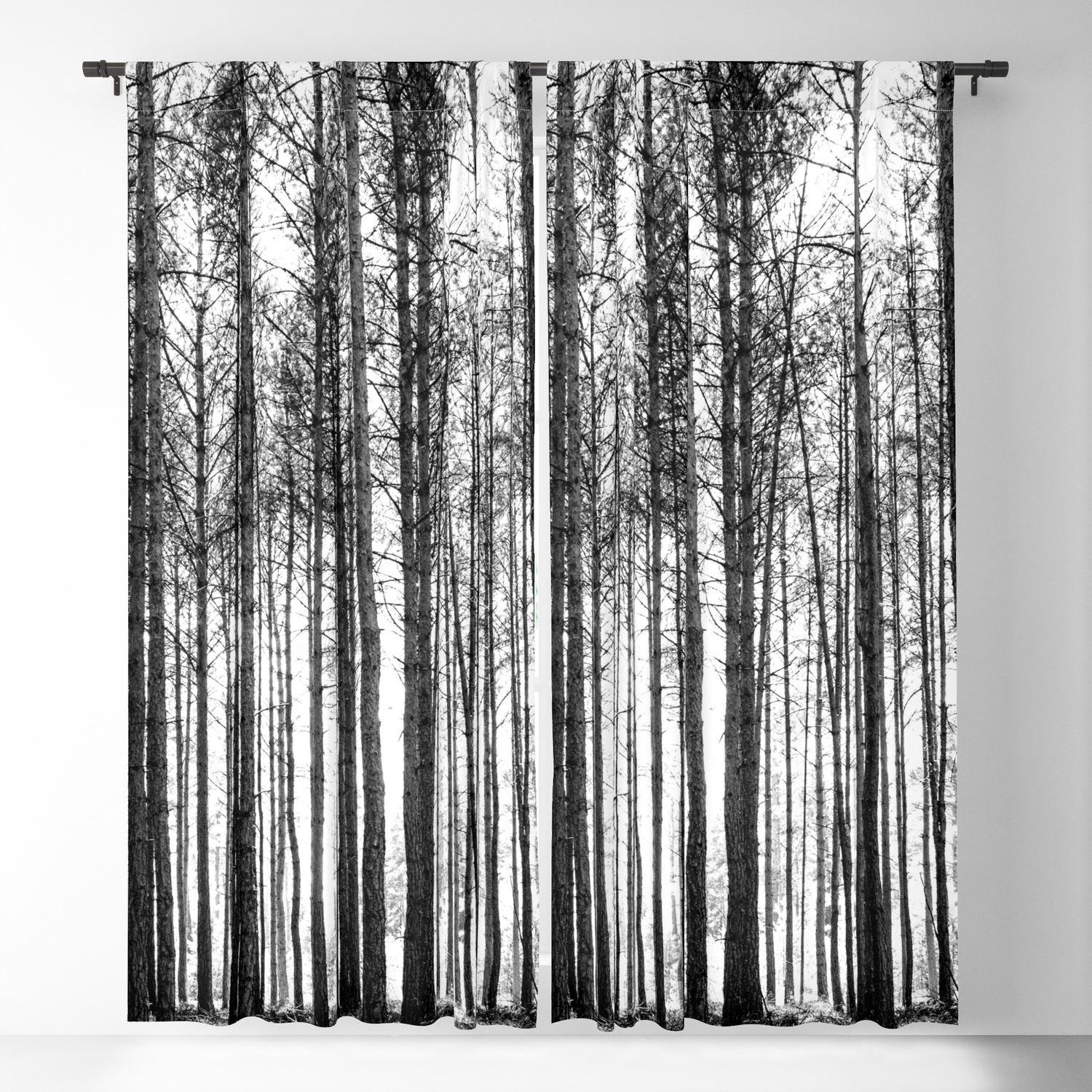 Trees In Forest Landscape Black And, Black And White Forest Landscape