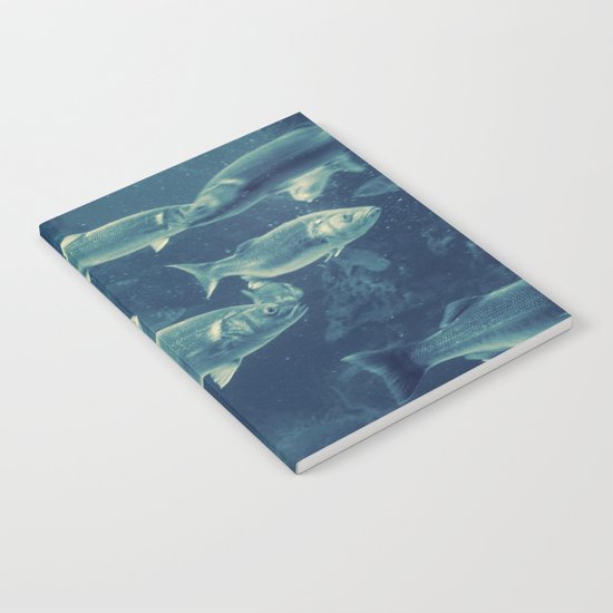 Fish 2 Notebook